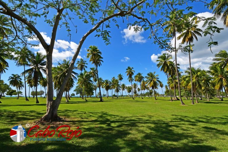 Balneario de Boqueron (Boqueron Beach / Playa) Cabo Rojo, Puerto Rico