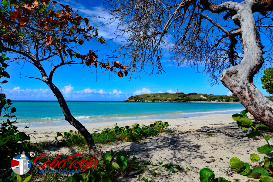 Masaccio trabajador Estudiante Cabo Rojo Puerto Rico Beaches Guide 2023 - Full Visitor's Guide