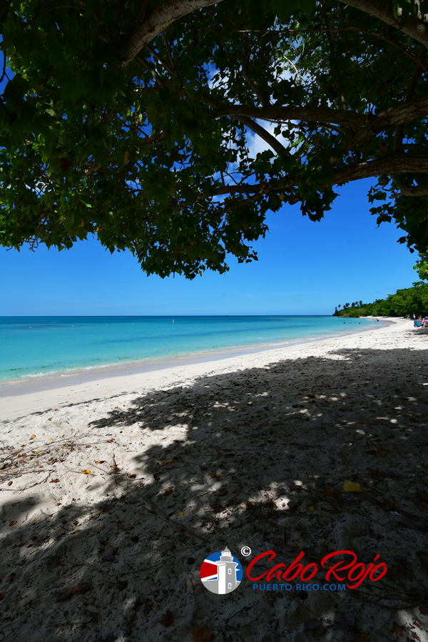 Puerto Rico Prettiest and Most beautiful beaches - Buye Beach